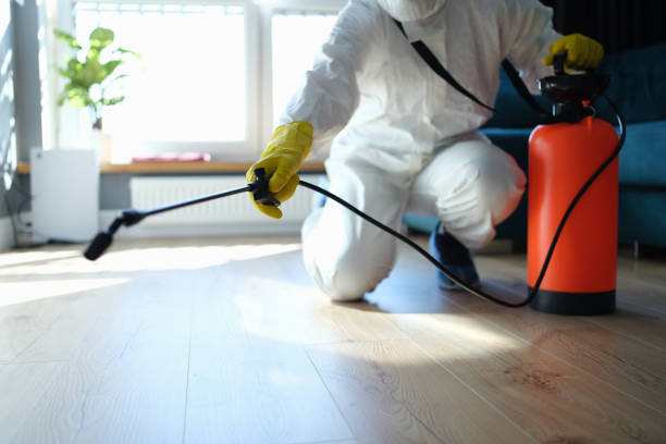 Reliable Sewage Cleanup contractor in Renault, IL by Trauma Clean Pros